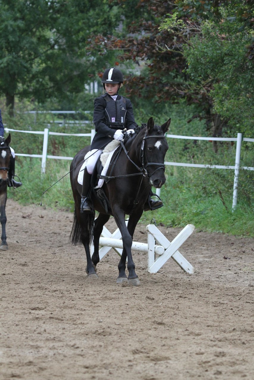 Bild 1115 - WBO-Turnier am 18.9.11